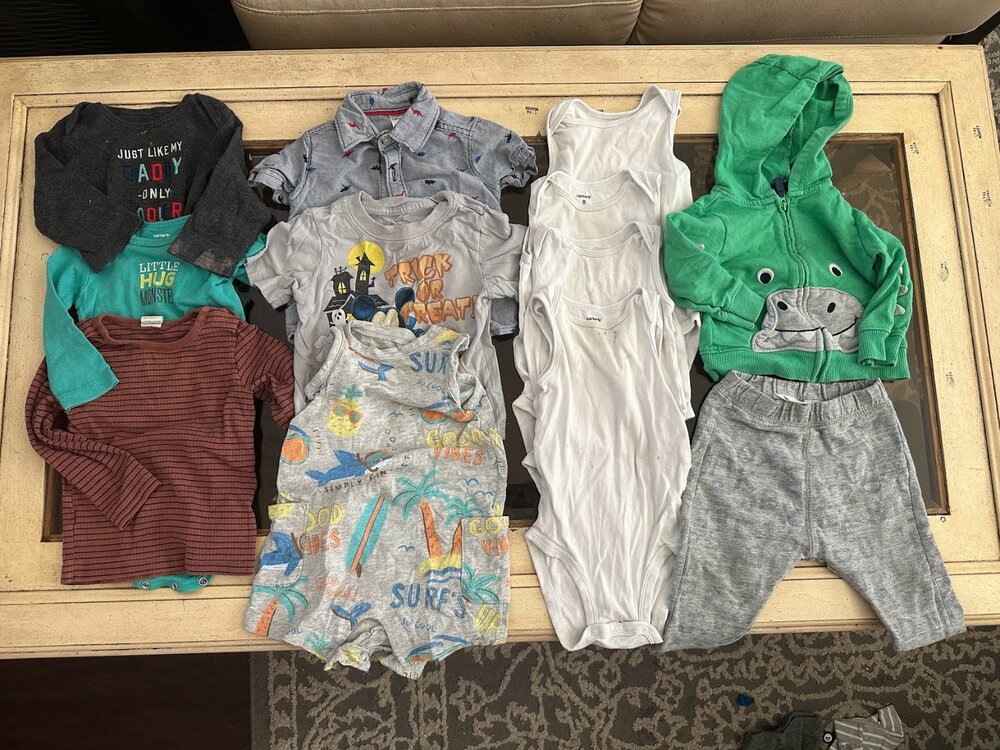 Bundle of Carter's Baby Clothes Bodysuits Tees Hoodie 9 Months